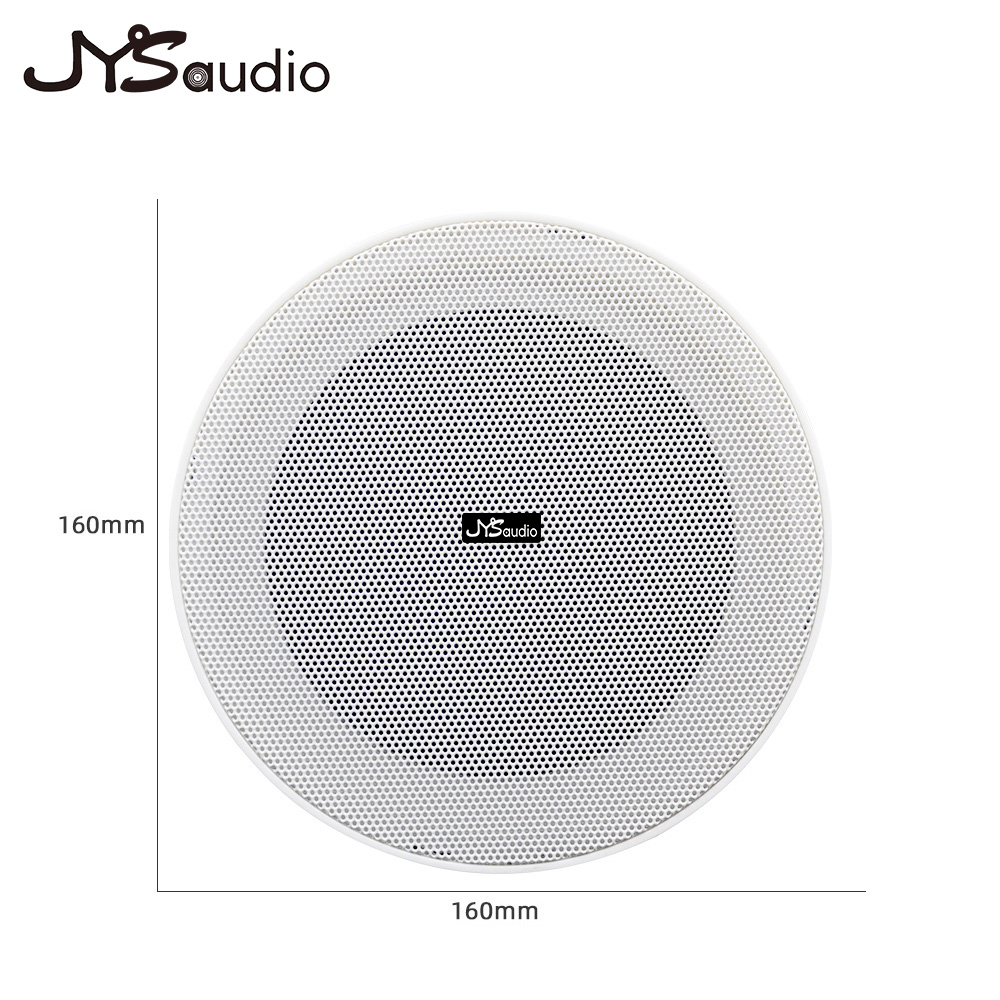 Smart Home Speaker - Haut-parleur de plafond sans cadre 10W