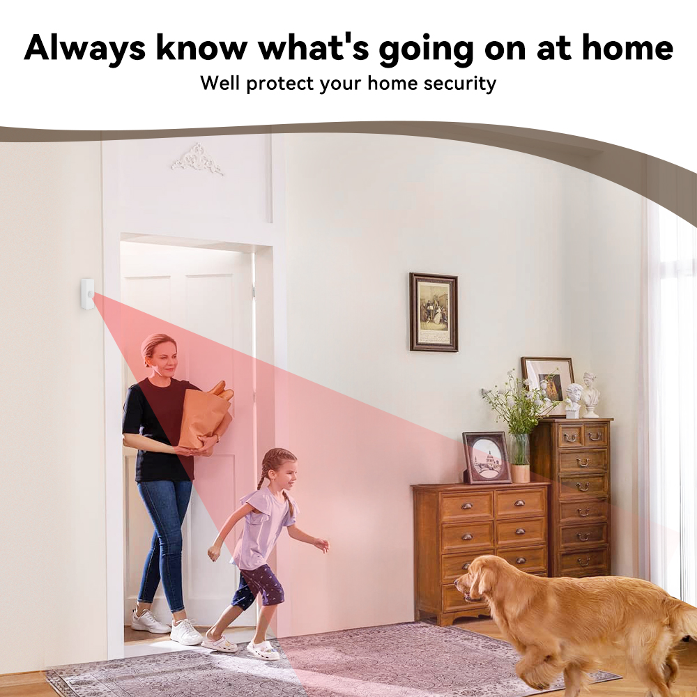 Détecteur de mouvement PIR int - Smart Home Certification avis et prix