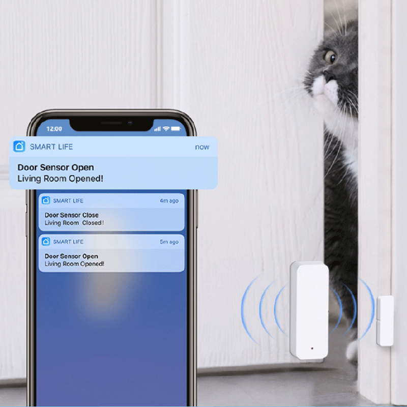 Capteur de contact pour porte  - Smart Home Certification avis et prix