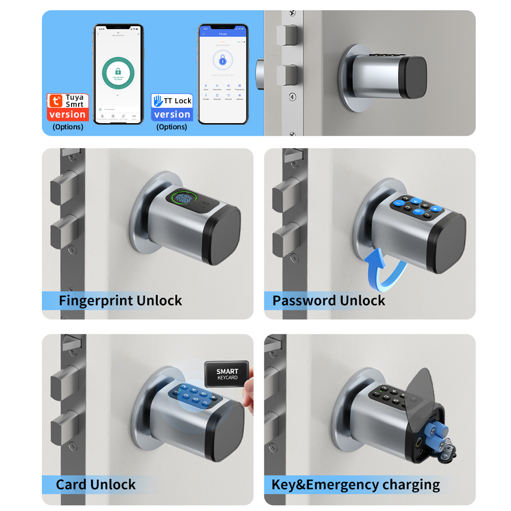 RAYKUBE V1 Tuya BLE TT serrure - Smart Home Technology avis et prix