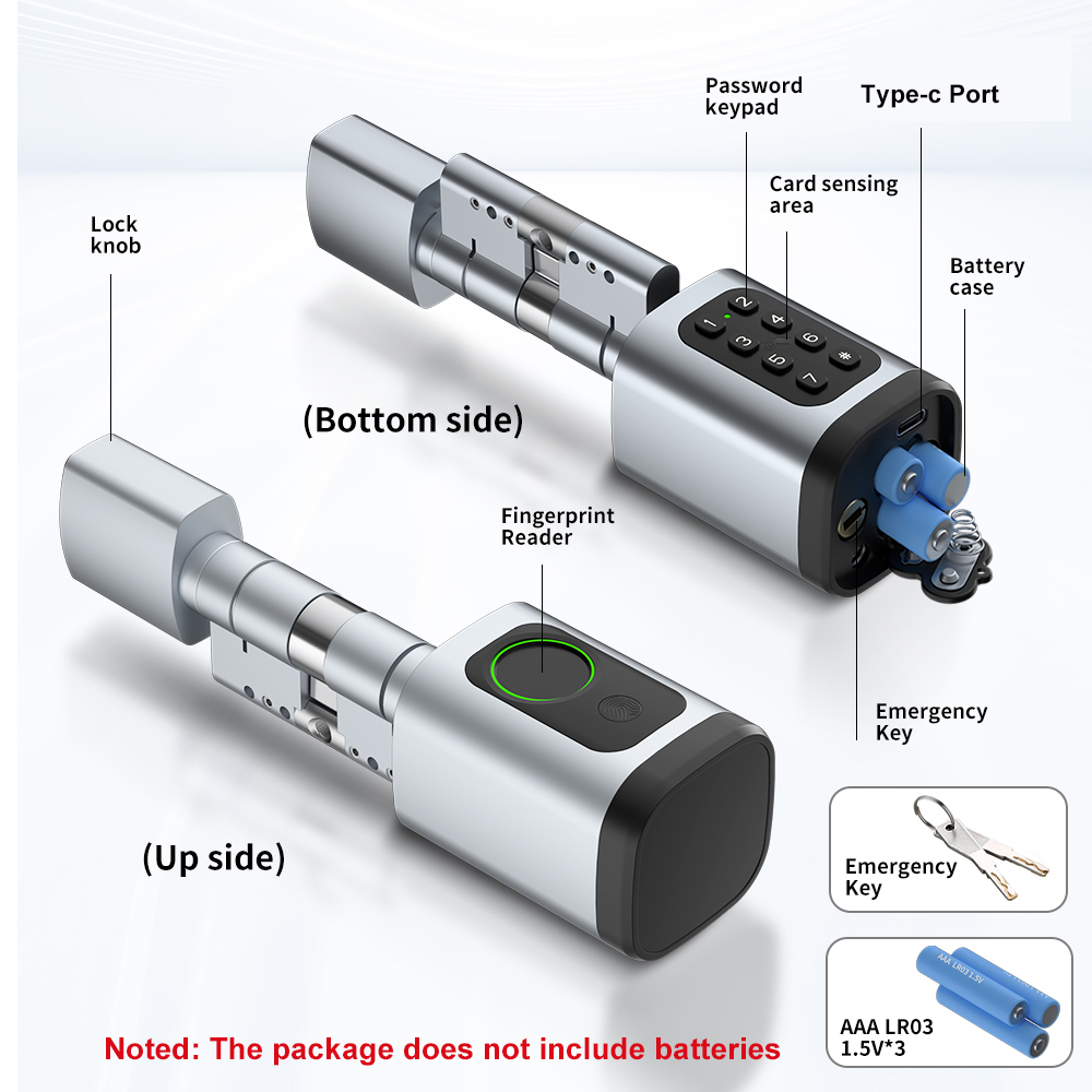 RAYKUBE V1 Tuya BLE TT serrure - Smart Home Technology avis et prix