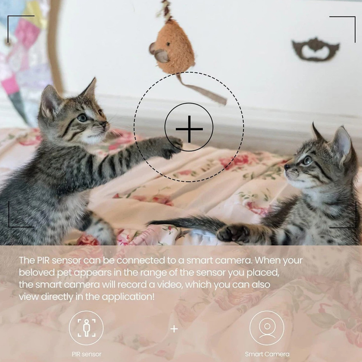 Capteur de mouvement PIR ZigBe - Smart Home Certification avis et prix